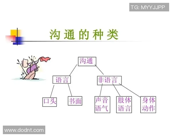 上海足球队团队协作的独特优势与其他球队的深度对比分析
