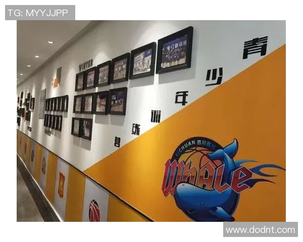 南京篮球队技术揭秘：从基础训练到战术运用的全面分析与探讨