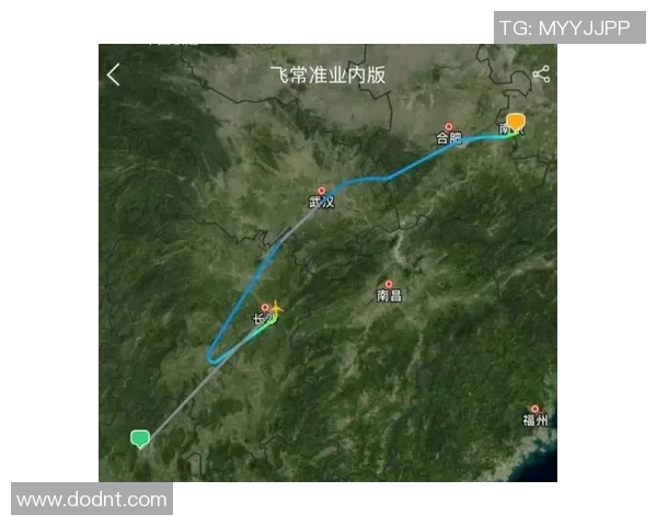 南京羽毛球队速度之争引发热议球迷观点各异分析背后原因与影响