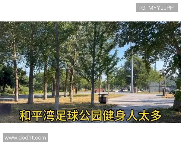 沈阳足球公园的具体位置及交通指南详解