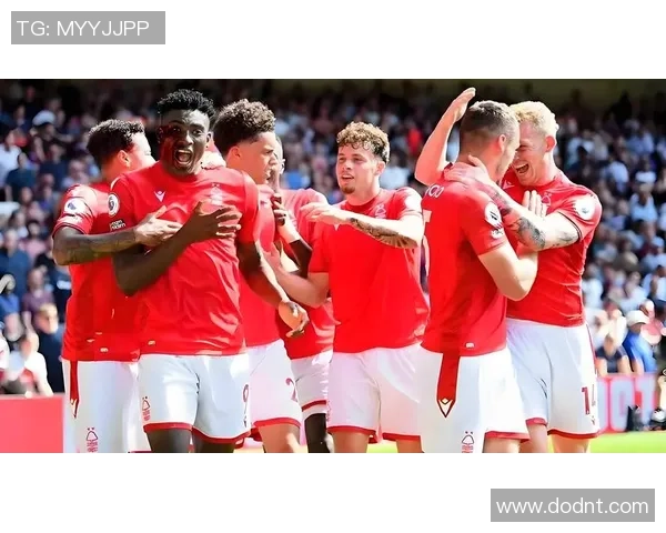 足球TL带你领略世界足球盛宴尽享精彩赛事与球星风采