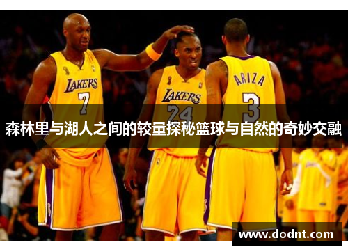 森林里与湖人之间的较量探秘篮球与自然的奇妙交融